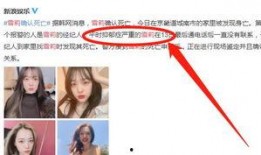 雪莉韩国爆料视频在线观看,揭秘娱乐圈惊人内幕