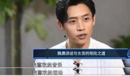 郑凯爆料魏晨视频,背后真相引人猜测