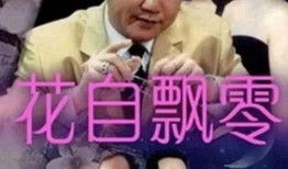 飘零电影在线观看视频,穿越时空的浪漫邂逅