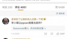 李小璐爆料中文视频全集,娱乐圈背后真相大曝光