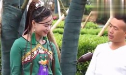 宛如香月在线观看,穿越时空的浪漫邂逅