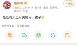 娱乐圈大瓜爆料的号,揭秘明星背后的惊人真相！