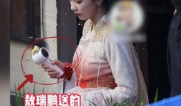王大锤爆料白鹿视频,揭秘娱乐圈幕后真相