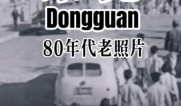 东莞爆料视频号